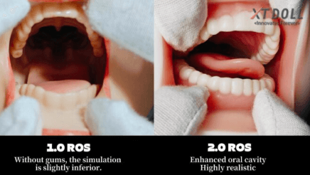 xt-doll-ros-version