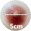 5 cm +0 Kč