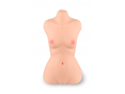 Torso small breast 1